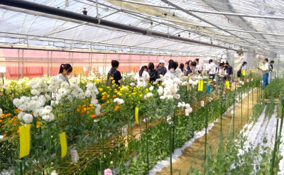 WIN_20250823_09_59_14_Pro